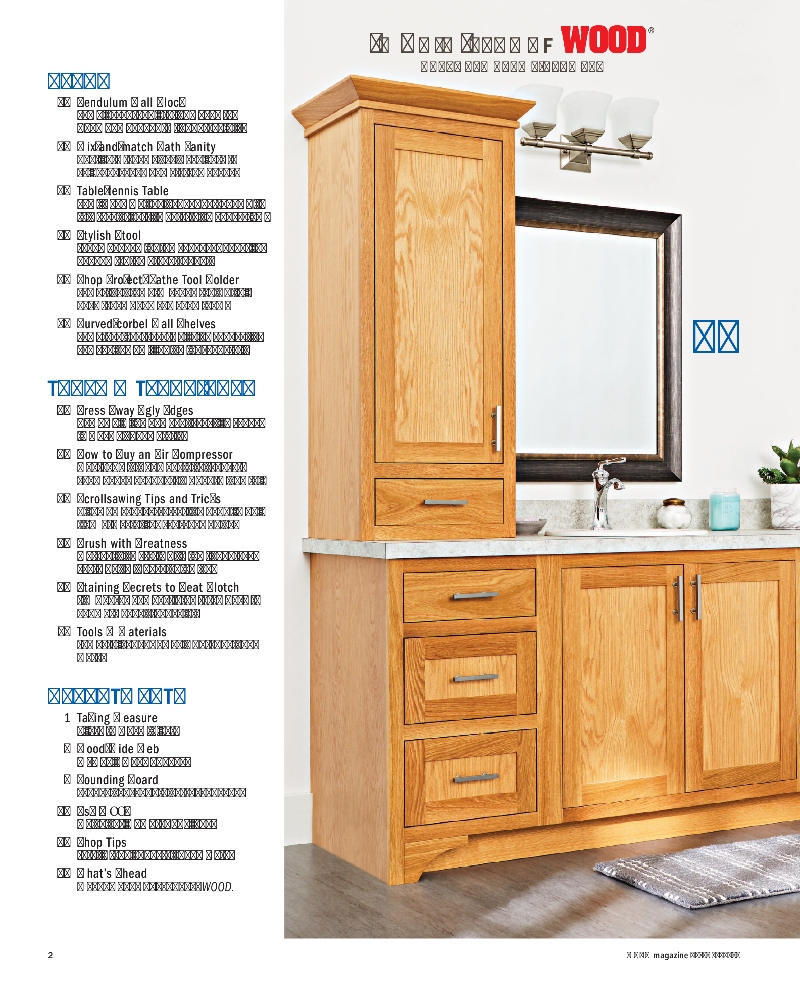 wood Magazine 271