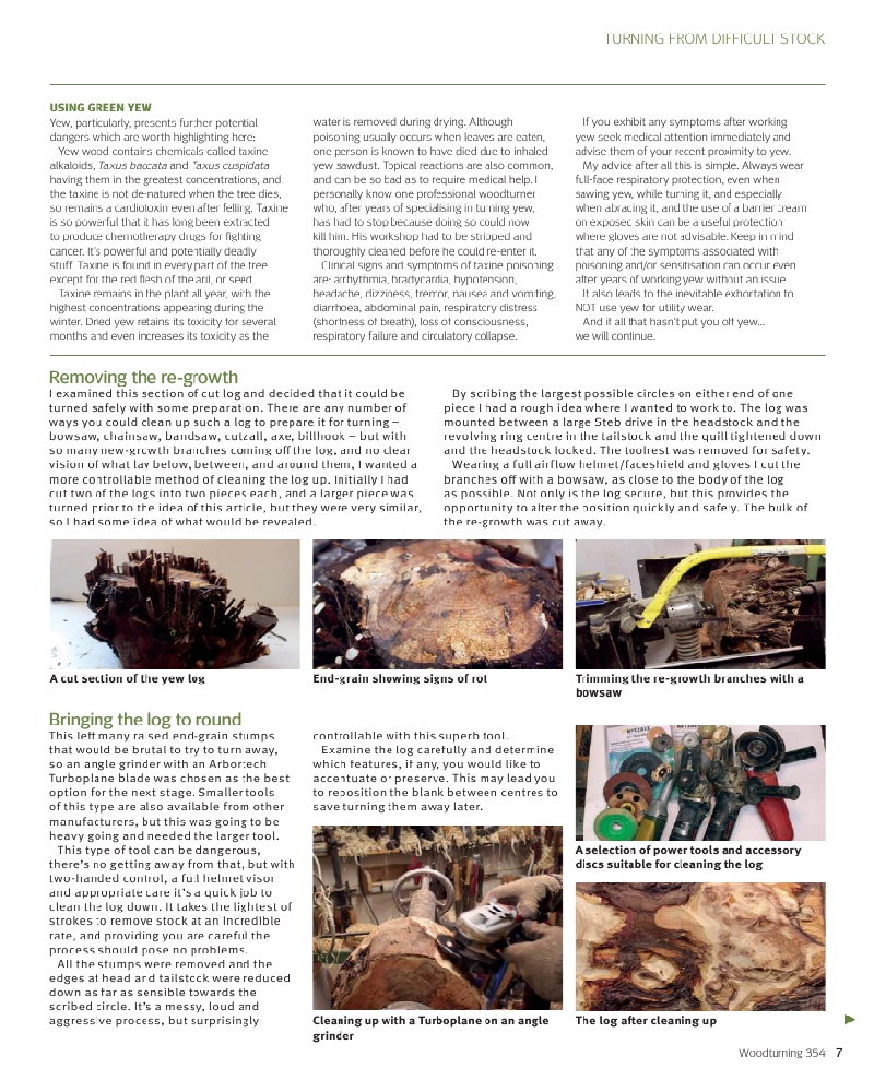 woodturning 2021 354