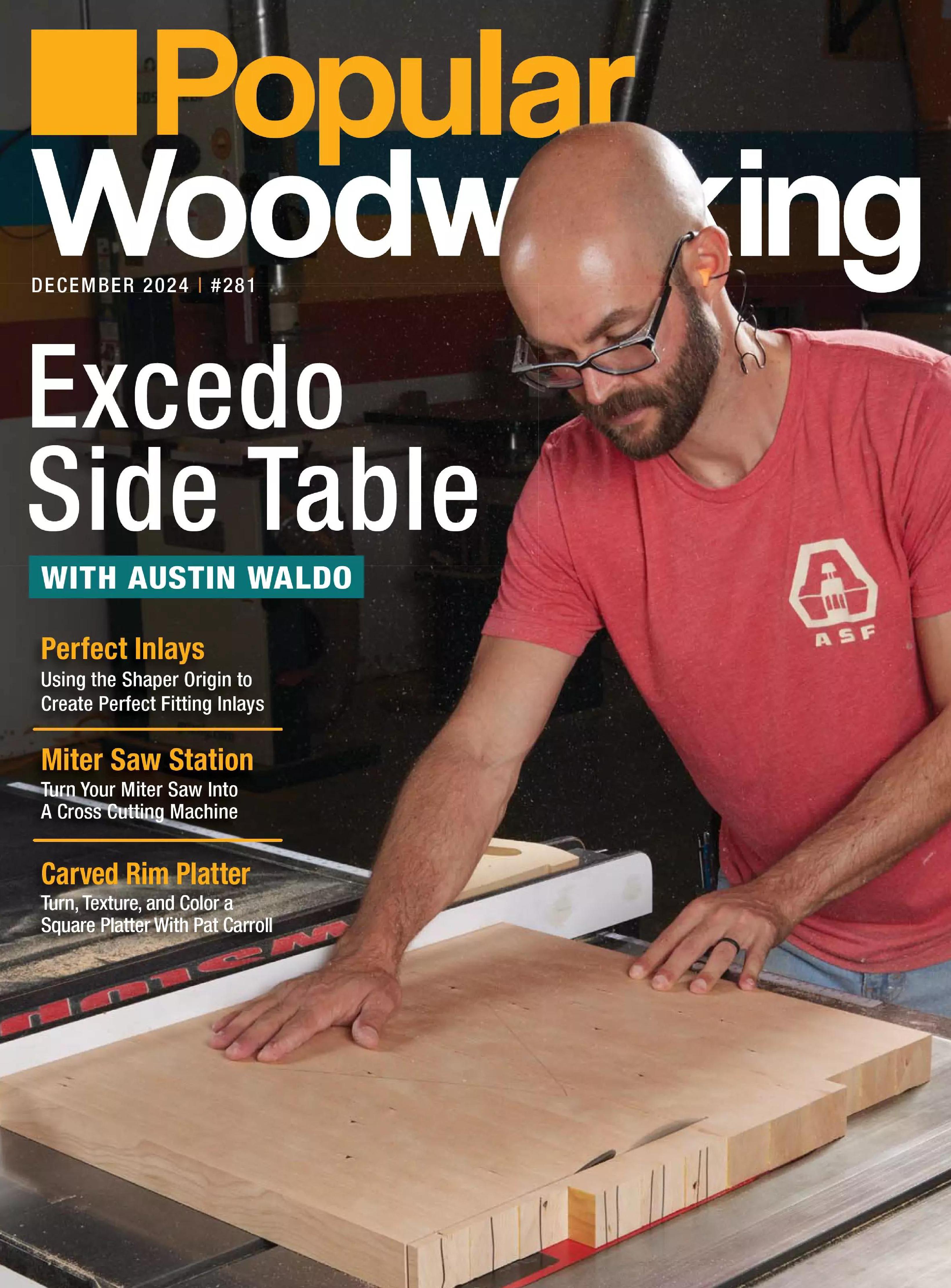 Popular woodworking 281
