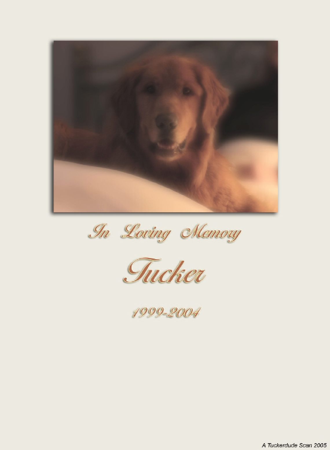 木工艺术第14期