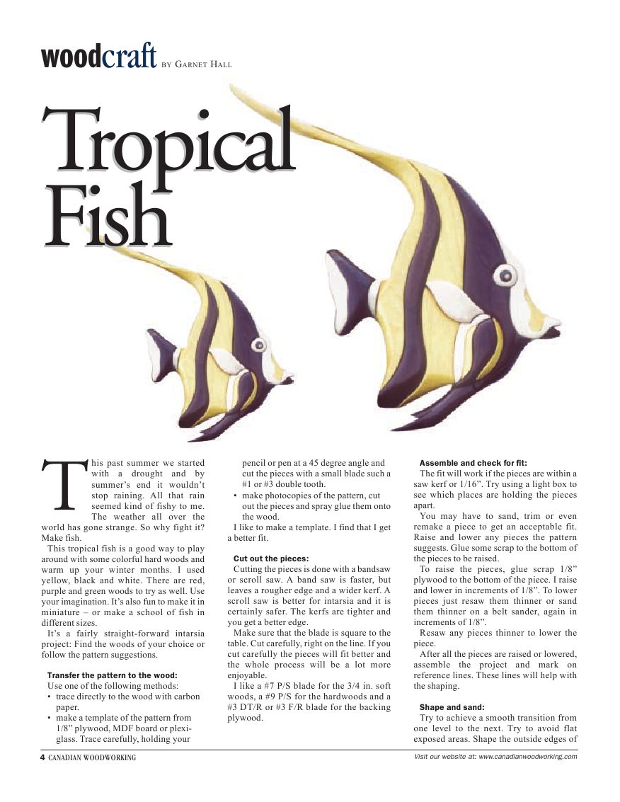 canadian woodworking第020期