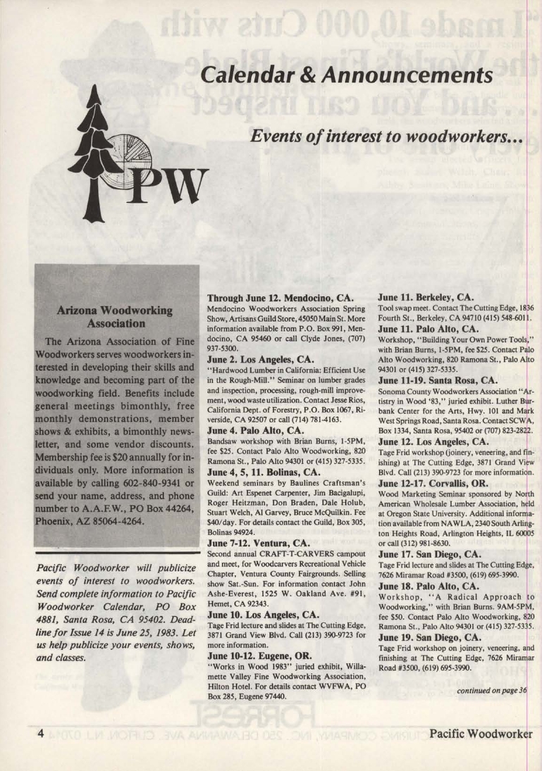 流行木工第13期