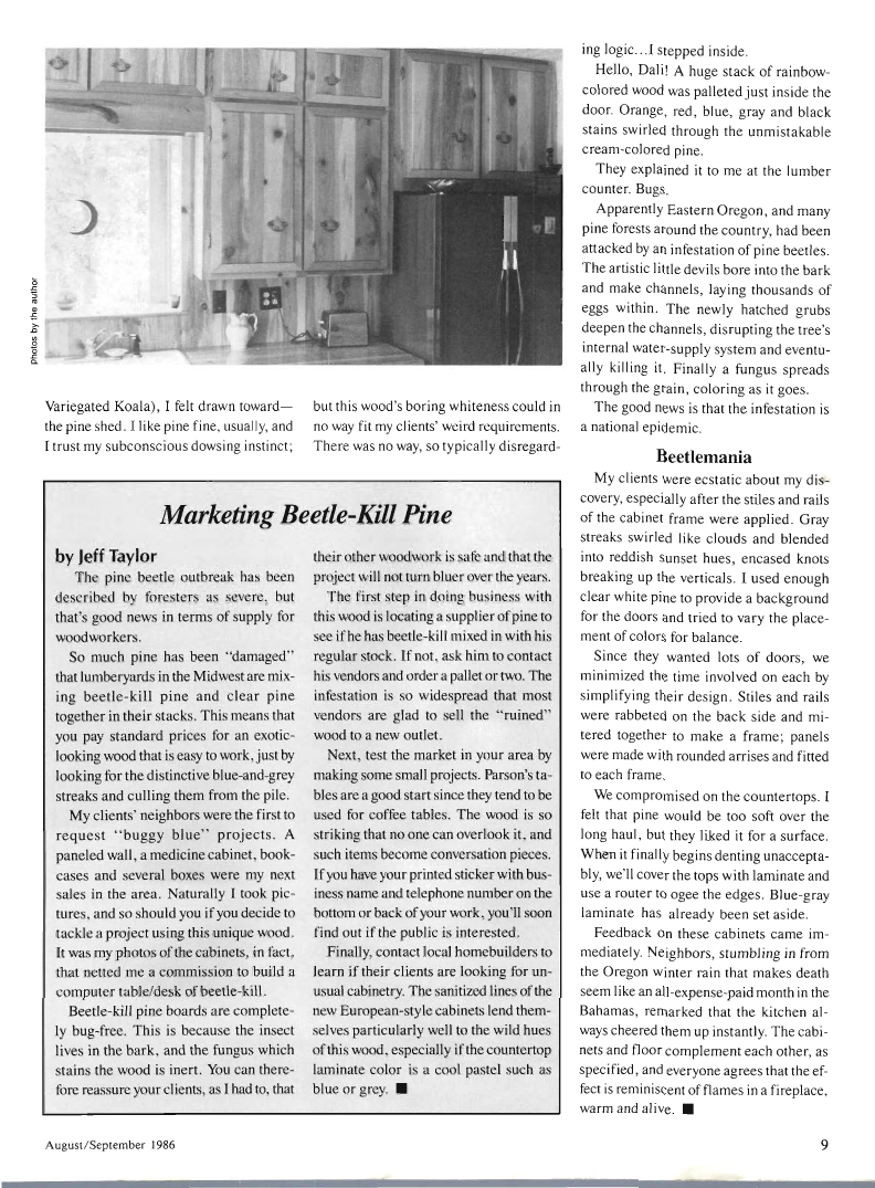 流行木工第32期