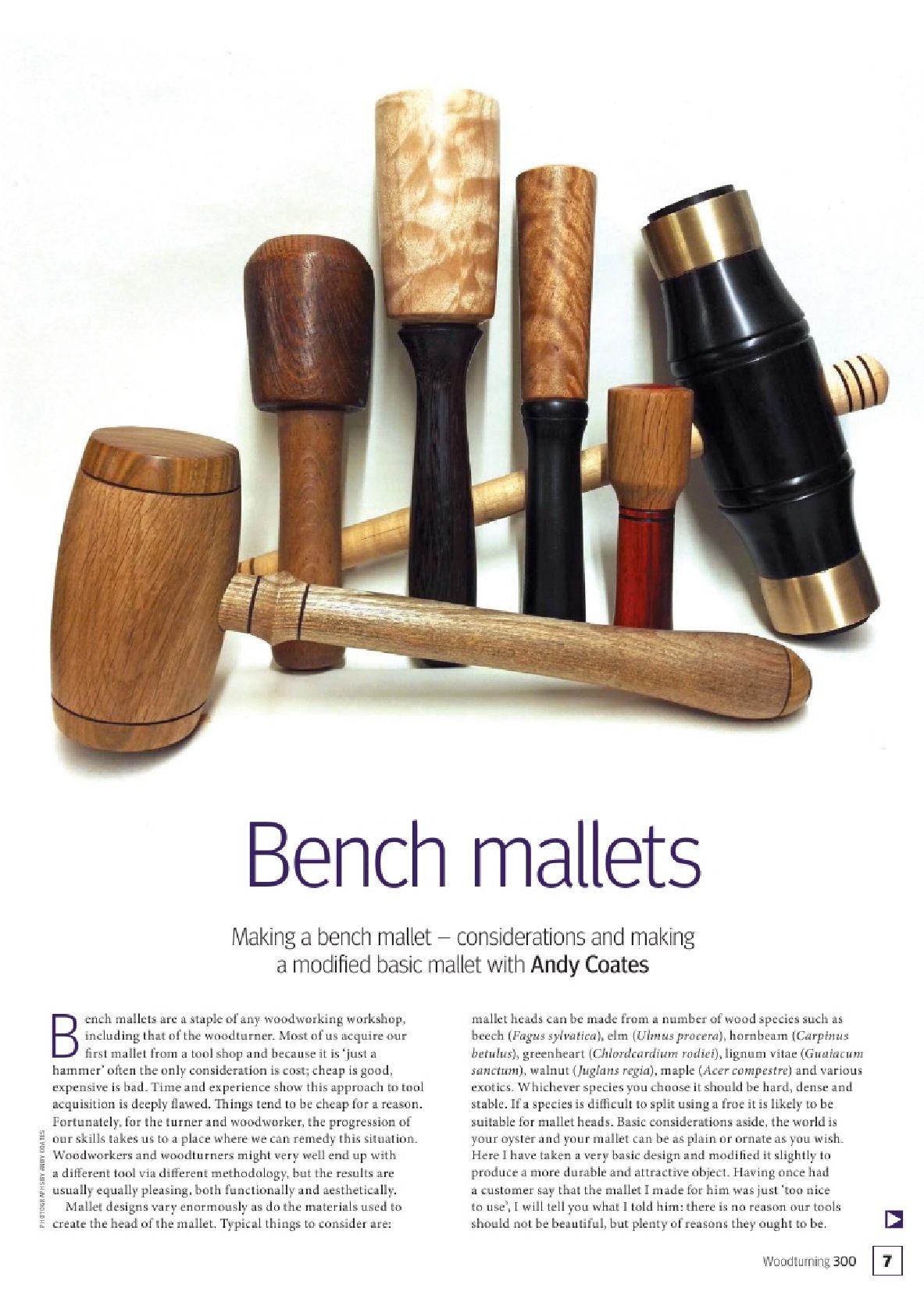 woodturning第300期